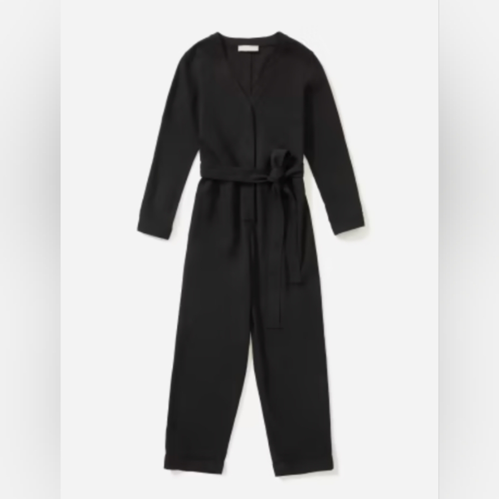 Everlane The Draper jumpsuit